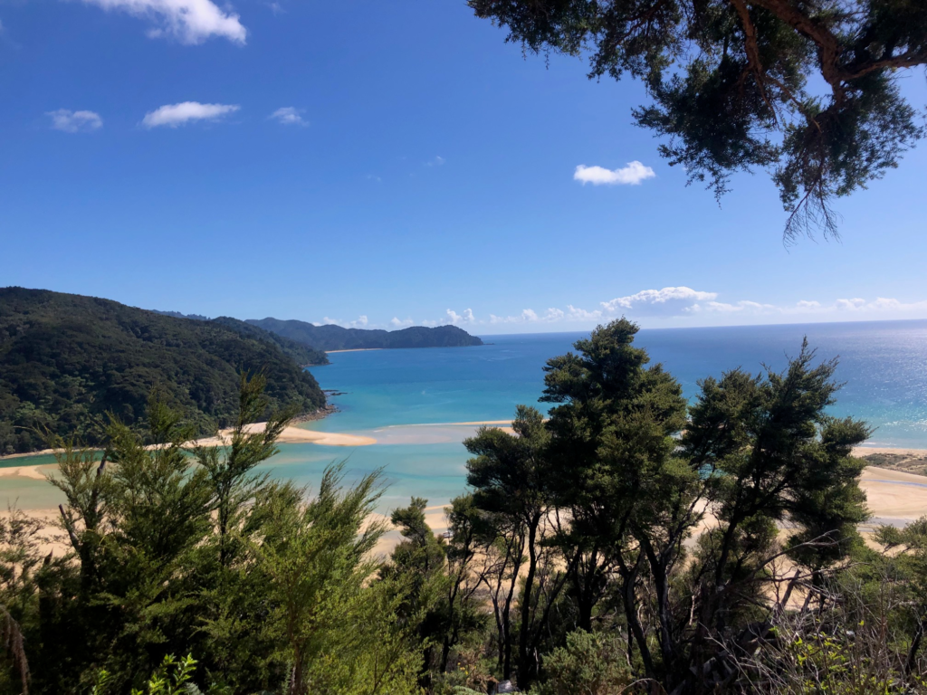 Views of a bay with a sand bar jutting out. Photo is taken from behind some trees