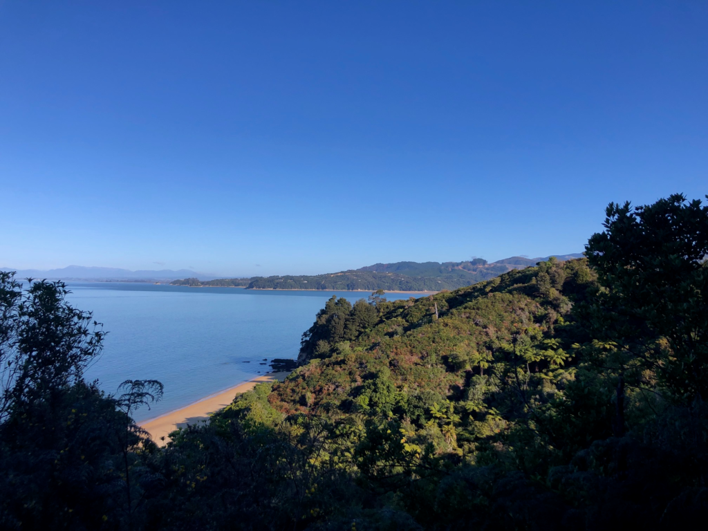 Forest and ocean views from up on a hill in abel tasman national park