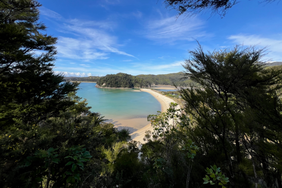Through the tress looking onto a big bay with a white sand beach and clear blue water on the Able Tasman great walk