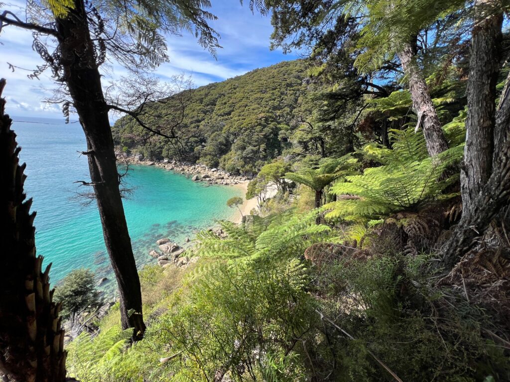 abel tasman national park. View of a bright blue bay through the trees, the bay is forested and they sky is blue