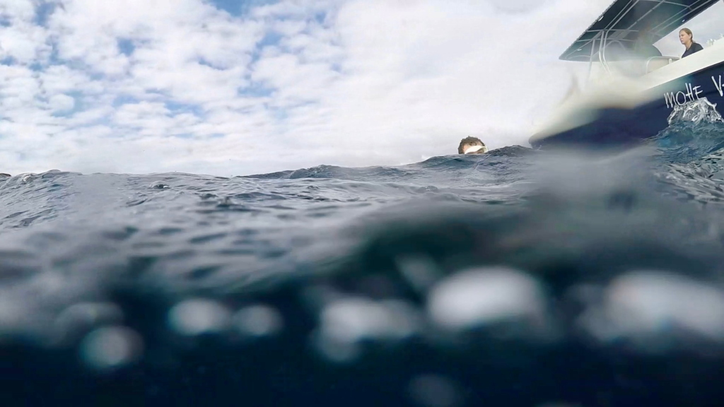 Whale swim in Tonga. Photo from in the water with the sky, boat and snorkeler in view above the water line