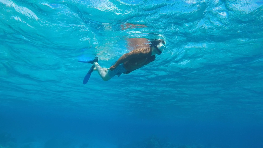 how to spend 2 weeks in tonga , man snorkeling in crystal clear blue water
