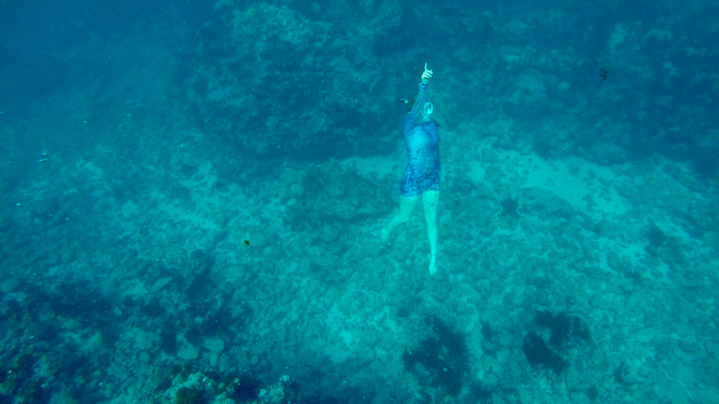 Snorkeling in Tonga. A woman underwater swimming up to the surface