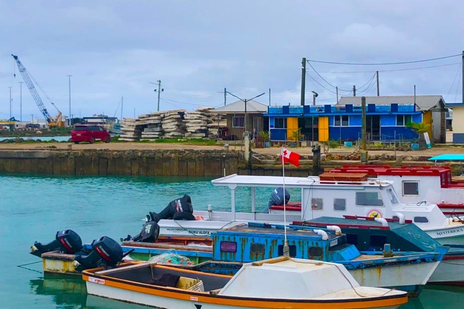 How to plan a trip to tonga. Small colorful fishing boats sit in a a harbor of turquoise water in Tonga