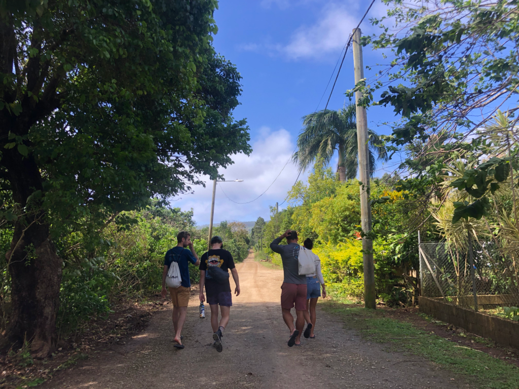 Planning a trip to Tonga and Stuck on 'Eua. 4 people go for a walk on a dirt road