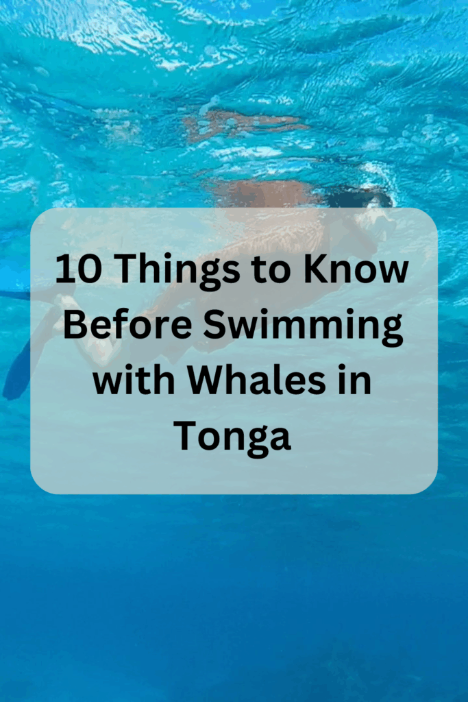 10 things to know before swimming with whales in tonga text is over a photo of a man snorkeling in Tonga