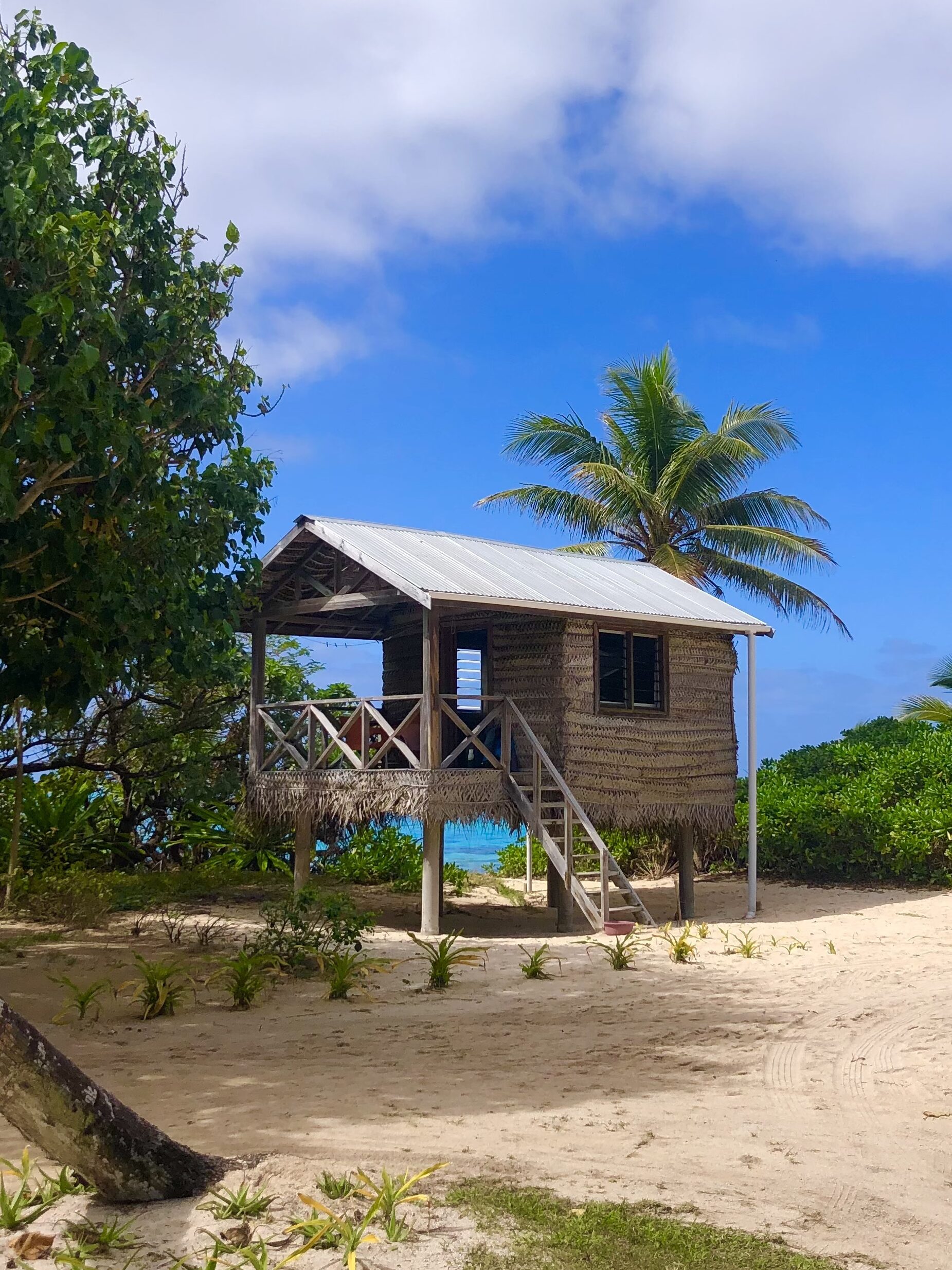 Resort in Tonga. Sandy beach with a fale standing on stilts. Palm trees frame the sides and there are blue skies above