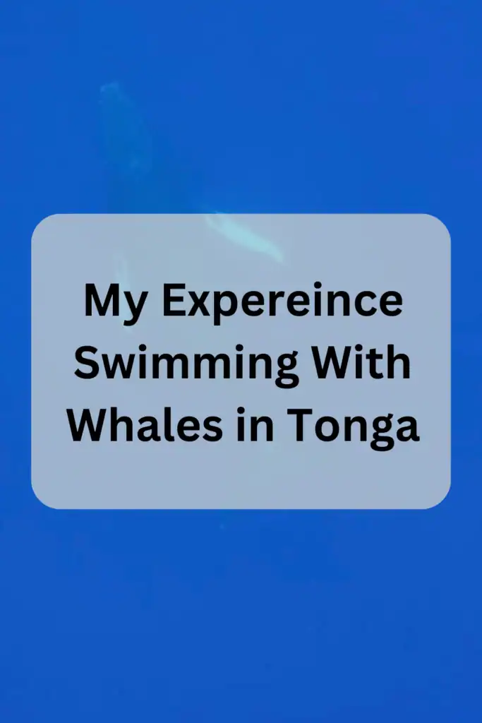 words my experience swimming with whales in tonga written over image of whale