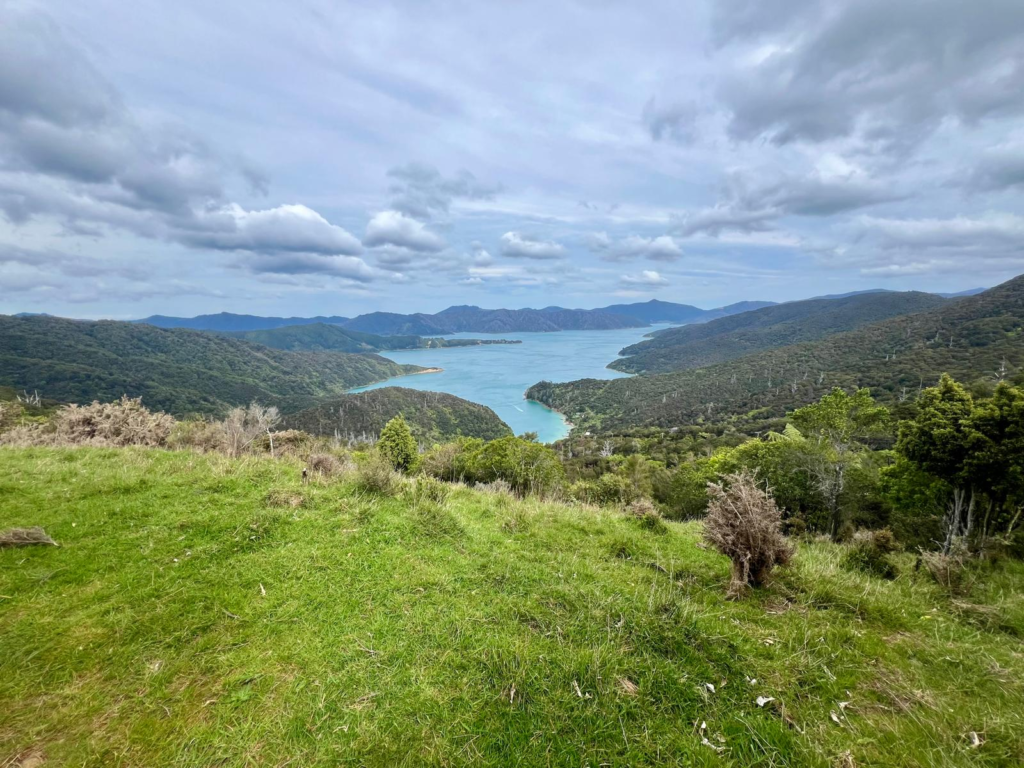 stunning ocean views on the queen charlotte track just past green rolling hills