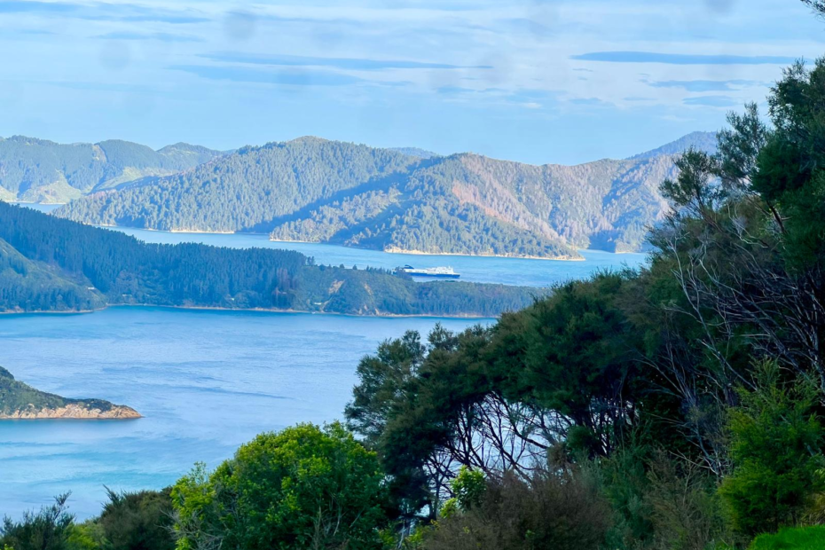 picton vs. nelson the Marlborough sounds, blue ocean and green hills on the queen charlotte track