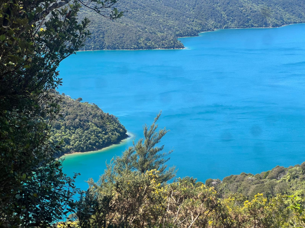bright blue ocean in a cove