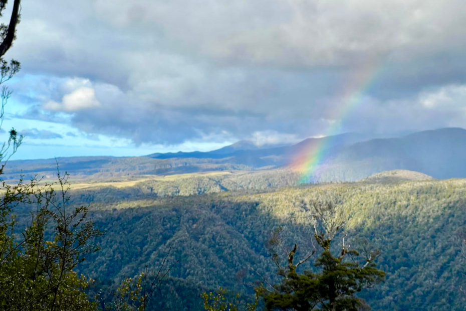 Guide to the heaphy track in new zealand. beautiful rainbow cross a lush green mountain scape