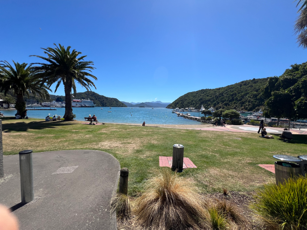 How to spend 1 perfect day in picton. view across the lawn of blue ocean, palm trees and blue skies