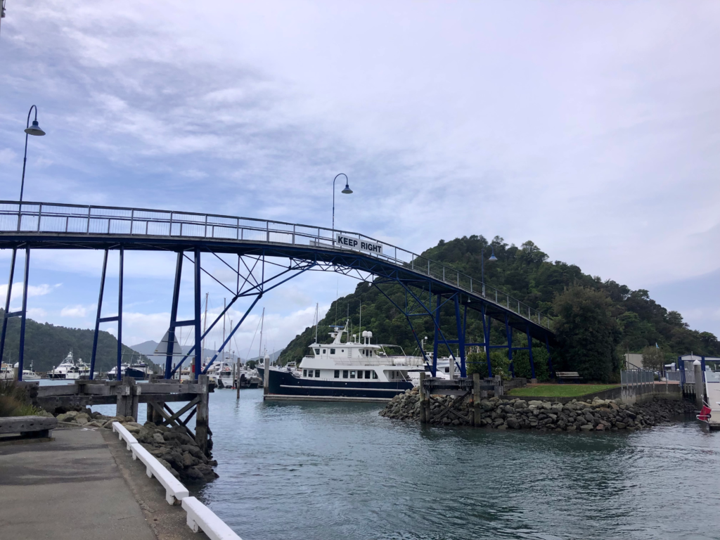 how to spend 1 day in picton, walk over the foot bridge and you'll find the snout hiking trail