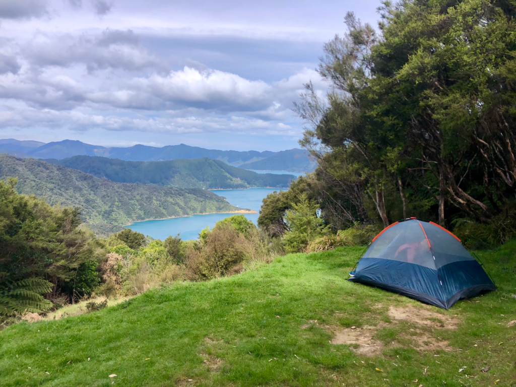 how to hike the queen charlotte track in 4 days. A tent set up on a grass field overlooking fjordlands