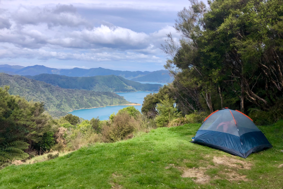ultimate guide to hiking the queen charlotte track in 4 days. A tent set up on a grass field overlooking fjordlands