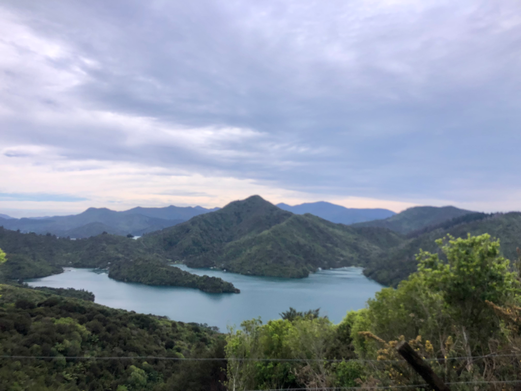 how to spend 1 day in picton, hike the queen charlottes track. view from the track beautiful blue ocean surrounded by tall fijordland hills