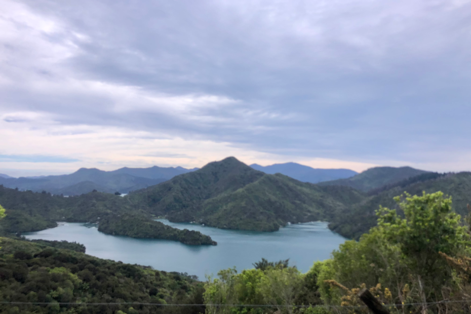how to spend 1 perfect day in picton, hike the queen charlottes track. view from the track beautiful blue ocean surrounded by tall fijordland hills