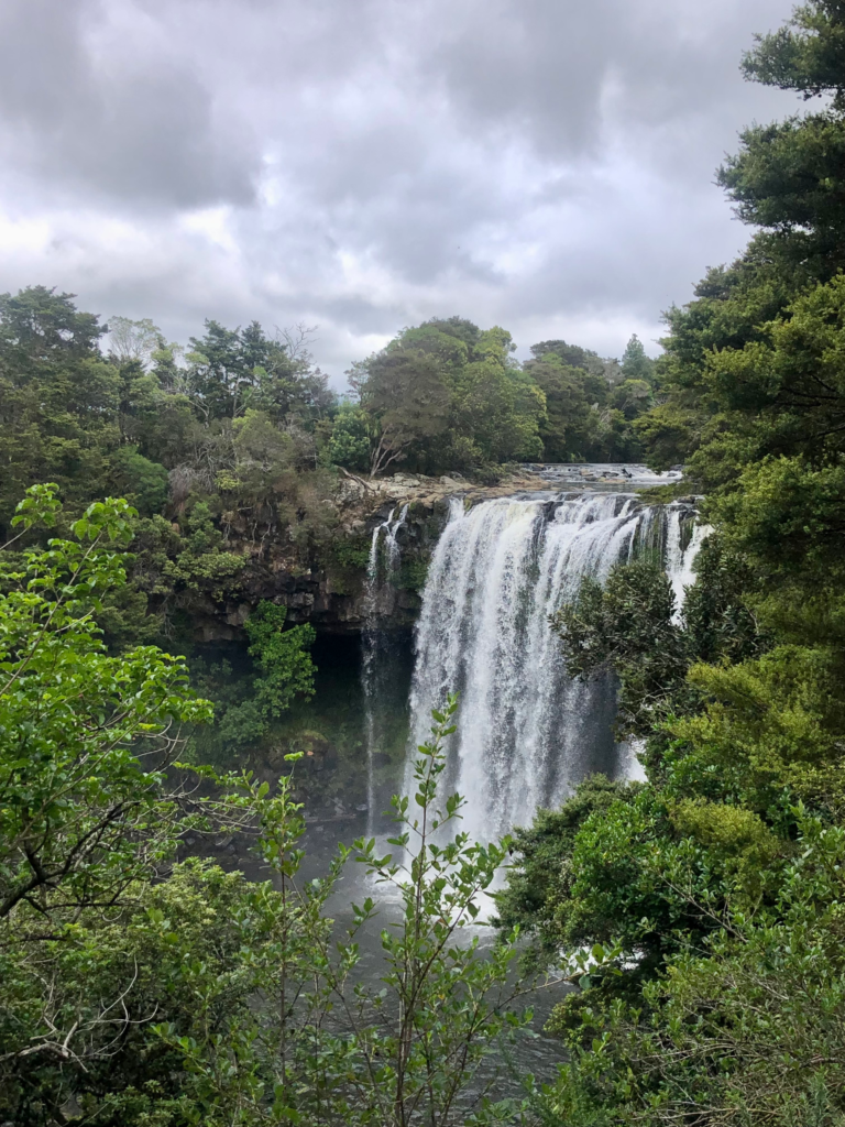 7 day north island road trip, rainbow falls waterfall in NZ. Large curtain waterfall and green trees surrounding it