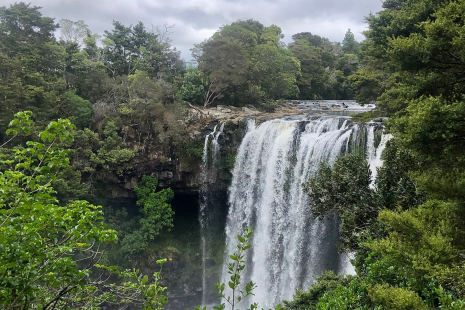 7 day north island new zealand road trip, rainbow falls waterfall in NZ. Large curtain waterfall and green trees surrounding it