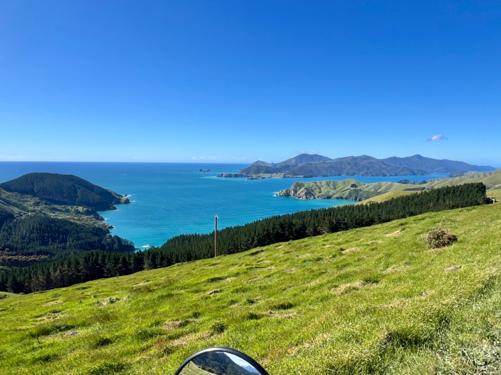 french pass is a best day hike from nelson. green pasture and blue ocean