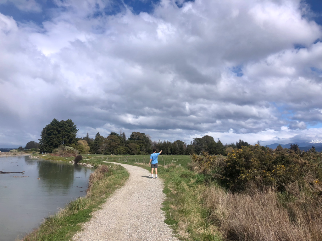 5 best day hikes in nelson new zealand. man on gravel path of great taste trail next to ocean