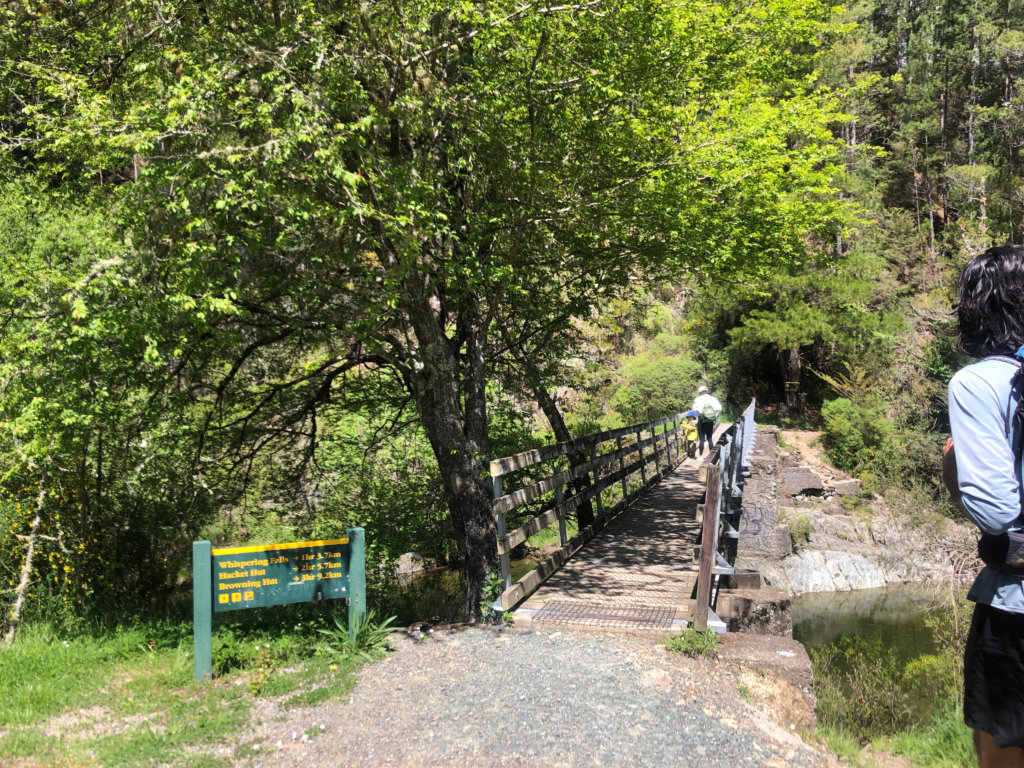 5 best day hikes in nelson new zealand. start of the hacket track crosses a bridge, green trees overhead