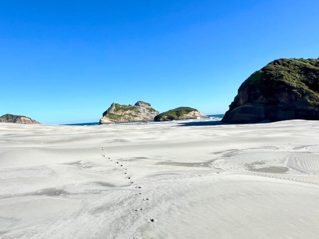 wharaiki beach has fine white sand leading to blue ocean. large boulders on beach.