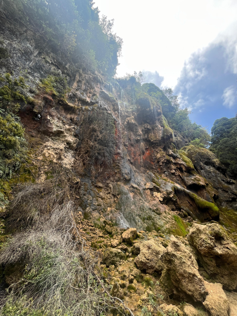 5 best day hikes in nelson. whispering falls view up a sheer cliffside