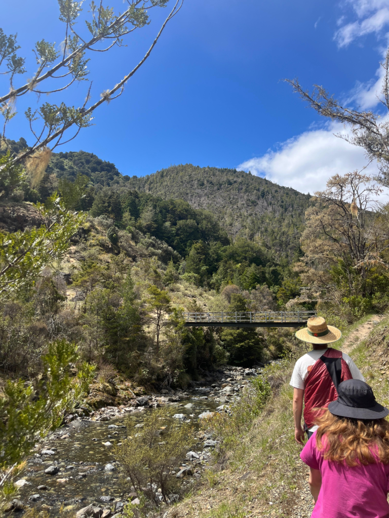 5 best day hikes in nelson new zealand. whispering falls track, man and woman talking towards a bridge in a dry climate