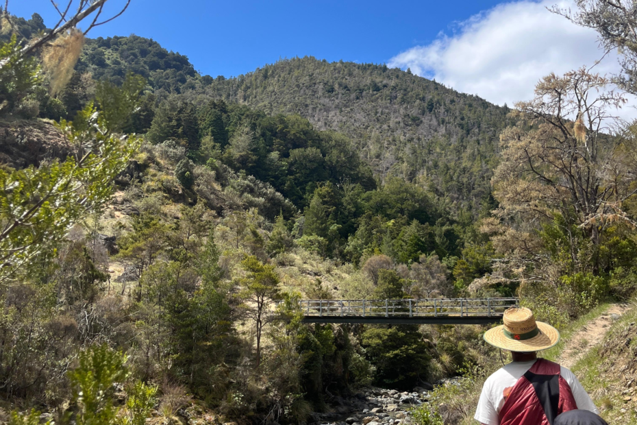 5 best day hikes in nelson new zealand. whispering falls track, man and woman talking towards a bridge in a dry climate