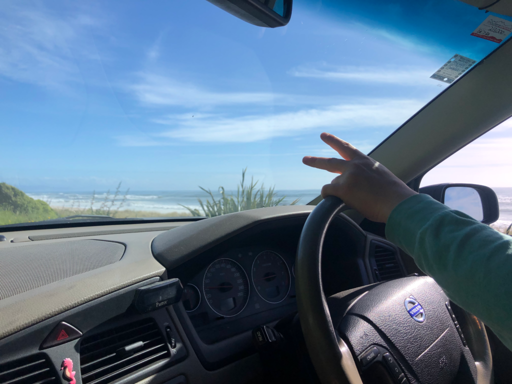 pros and cons of renting a car in new zealand.