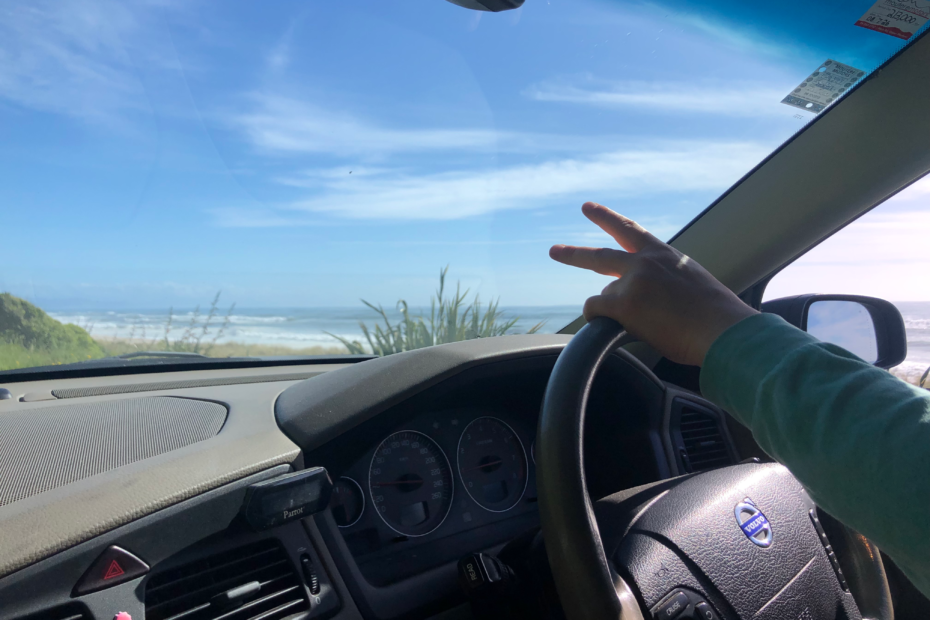 pros and cons of renting a car in new zealand.