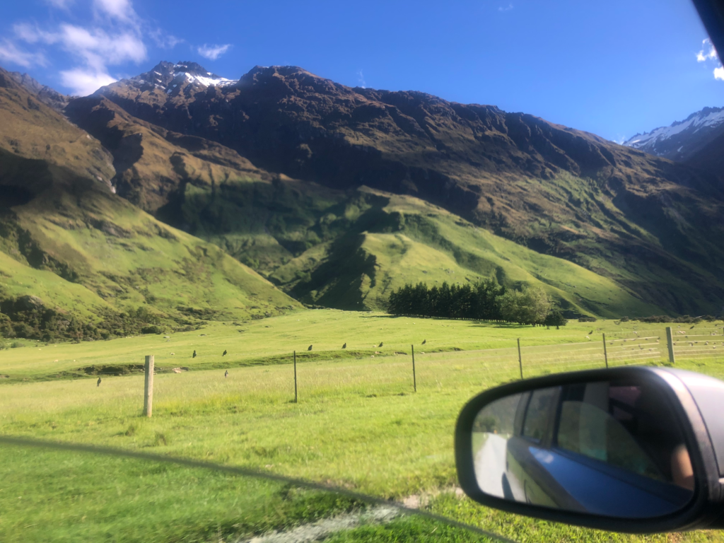 pros and cons and cost of renting a car in new zealand. field of green from outside a car window