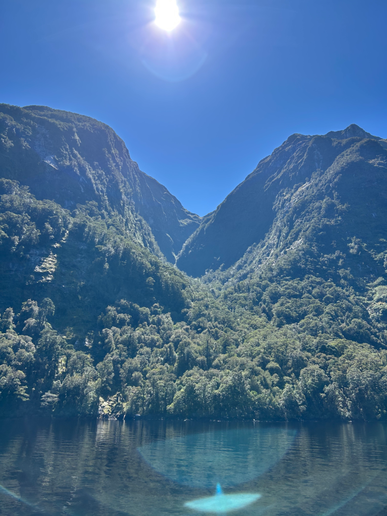 sun high in sky in doubtful sound, lush green mountains and ocean