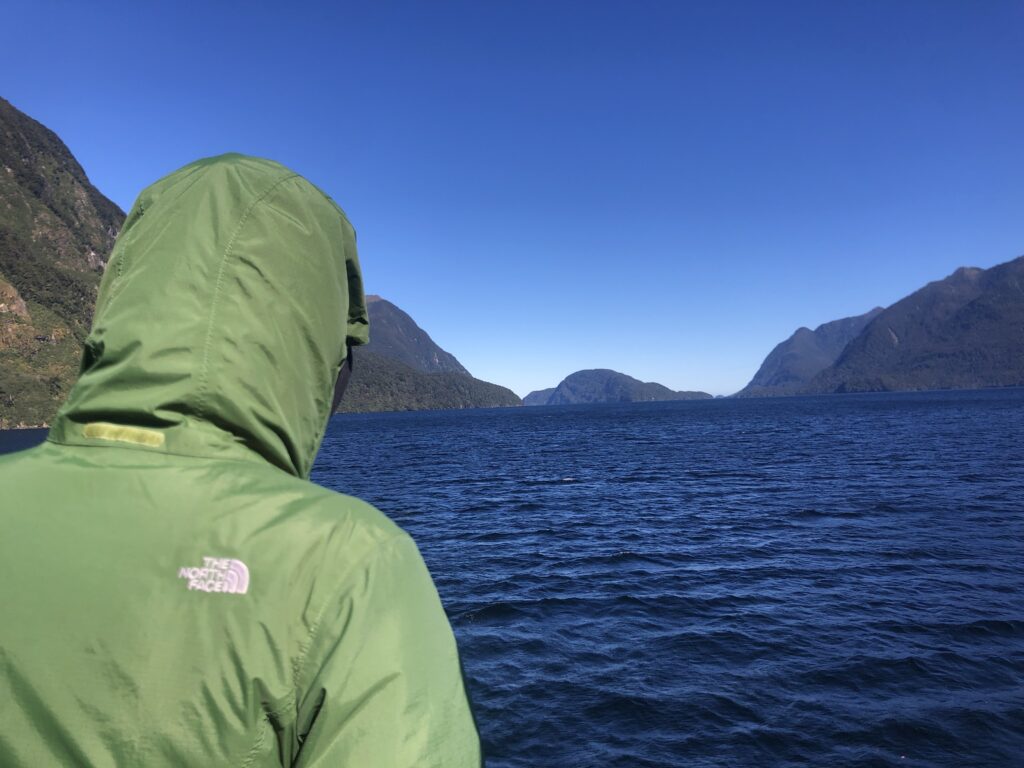 person looking out at the water of doubtful sound new zealand