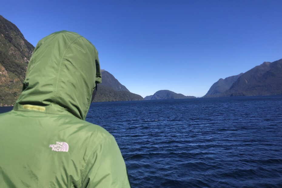 person looking out at the water of doubtful sound new zealand