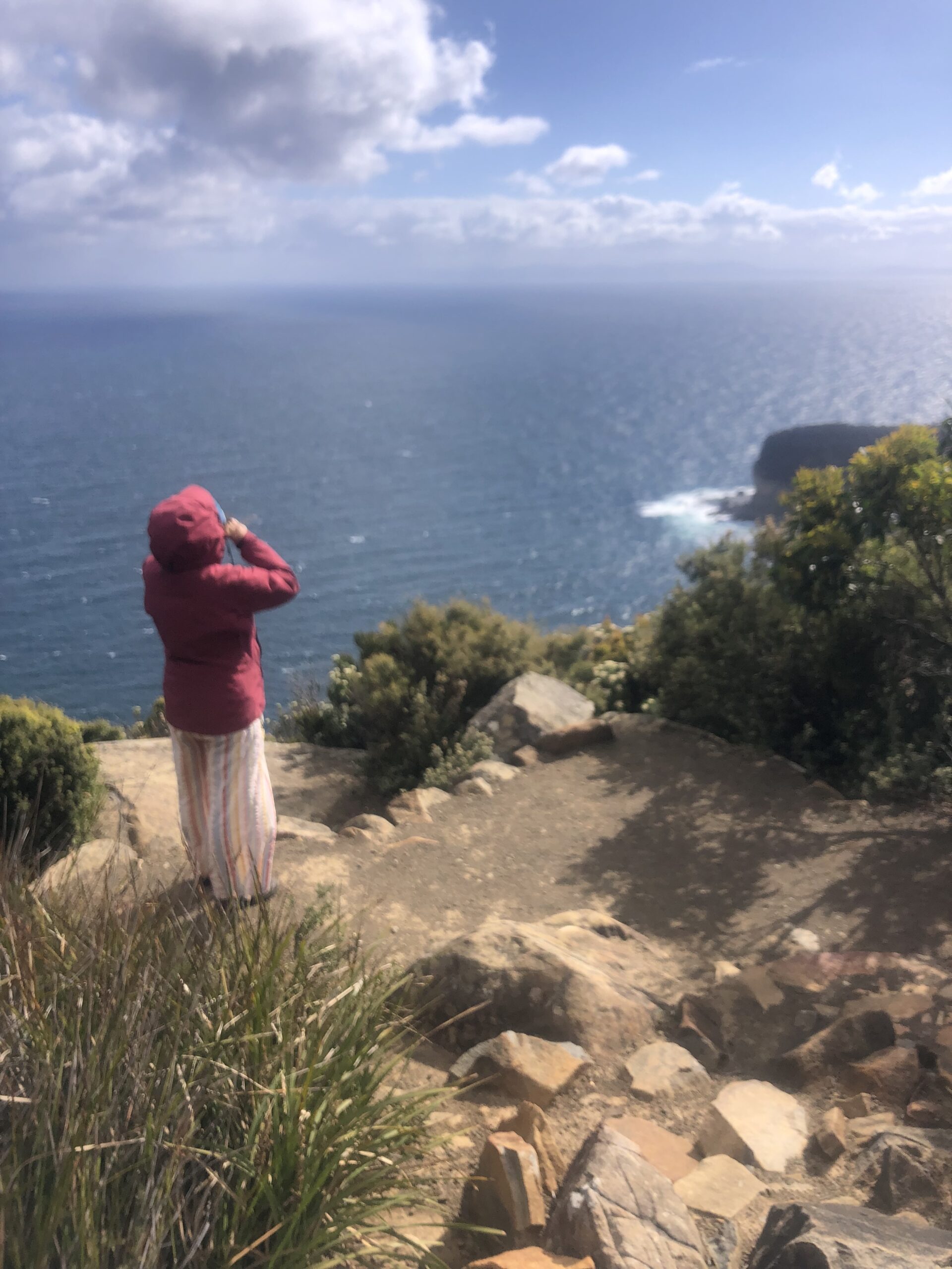 woman standing at shipsterns bluff in tasmania, looking at big blue ocean and cliff through binoculars
