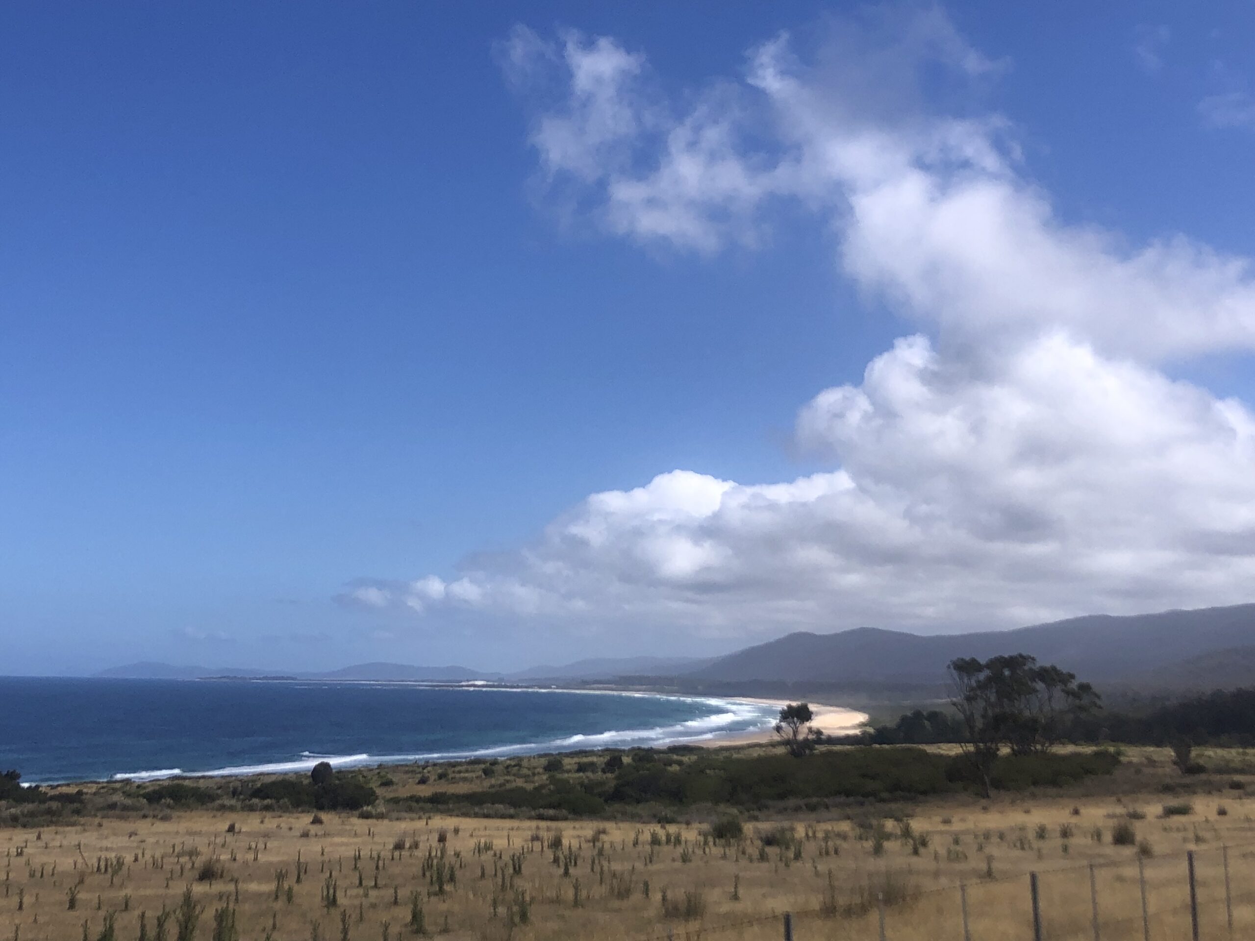 coastline of tasmania, green grass in foreground and partly cloudy sky overhead